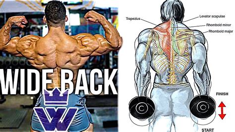 back exercises - back squat crossfit